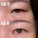 마산합성약국 | 마산합성동속눈썹펌│1.27뷰티 유지력 좋은 속눈썹펌 후기