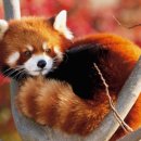 써니약국 이미지