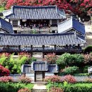 안동 병산서원: 400년 역사의 숨결을 느끼는 아름다운 서원 이미지