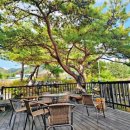 270-4030 | 평창맛집 와우대관령한우에서의 힐링 한우 맛집🌟