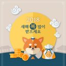 다 미 설
