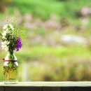 선원농장 이미지