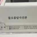 물오름달사진관