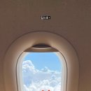 달리야드 이미지