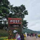 월곡농장 | 전남 화순 고인돌가을꽃축제 2025｜가을꽃과 역사 함께 즐기는 가족 나들이 명소