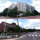 현대 사원아파트 앞 공원 이미지