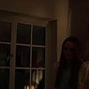 pet227나2018 이미지