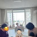 해든재가복지센터 이미지