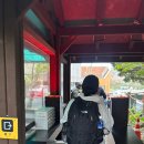 그린하우스 무인모텔 | 온 사람이 있다? 그게 바로 나예요. (feat.한라산관음사코스, 그린게스트하우스, 등산초보 한라산 후기)