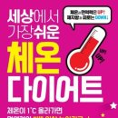 셀다이어트