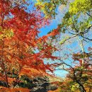 숲길 전경 이미지