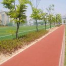 대화레포츠공원 이미지