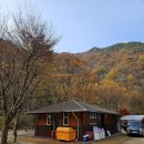 소백산 남천야영장2 이미지
