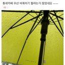 공용 우산 통에 우산을 꽂기 꺼려지는 이유. 이미지