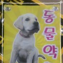 서울동물약국 이미지