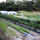 경인농장 이미지