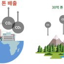 착한나무 이미지