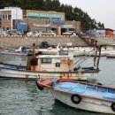 오렌지 수산 이미지