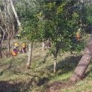 예양공원 이미지