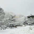 구상나무 화장실 이미지