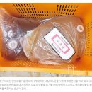 농우미생물 | [월간원예] LED 보광등 설치로 오이 수량 늘어나