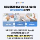성모척관병원 이미지
