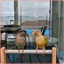 더큐브펜션 이미지