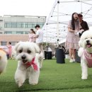 판 유치원 한경비즈니스