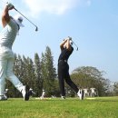 이동골프클럽 이미지