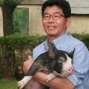 다산육종 이미지