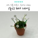 온라인클래스 | 비즈 식물 만들기 온라인 힐링 클래스 후기, BGF 리테일 CU 점주