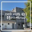 유플러스 씨 이미지