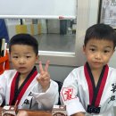 국가대표영웅태권도 이미지