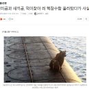 어미곰과 새끼곰, 먹이찾아 러 핵잠수함 올라탔다가 사살 이미지