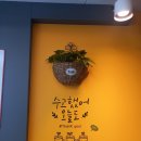 에코런드렛셀프빨래방&아이스크림수원 이미지