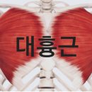더좋은피트니스 이미지