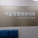 강원도 영월군 오십견 전문 병원 BEST 추천 6곳