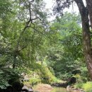 하늘로열린창 이미지