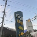 강아지마을 | 은행나무숲이 있는 경주 도리마을 강아지 동반 후기