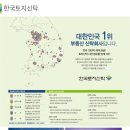 디펠리체 Daum카페