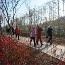 철로변녹지대 이미지