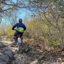 얼음골로 | 경남 억새명소 밀양 얼음골케이블카타고 영남알프스천황산 등산 여행후기