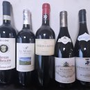 2025 이마트 와인 장터 준비 완료🍷 와인 좋아하는 사람 모여라! 실패없는 추천하는 가성비 레드 와인 5종!!
