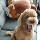 원예기능사 이미지