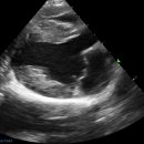 내포동물의료센터 이미지