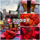 더마니치킨호프 | 이태원 술집 | 루프탑 감성의 치킨 맛집 코리아호프 방문후기