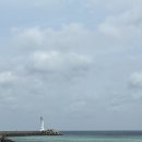 촌집칼국수 | 2박 3일 제주도 동쪽 여행 2-3일차 (카페공작소, 세화해수욕장, 각지불, 비자림, 제주촌집, 표선칼국수)