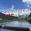 얼음골민박 | 밀양 단장숲유원지 계곡 방문 솔직후기ㅣ막상 가면 후회할지도?