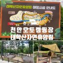 태학산자연휴양림오토캠핑장 | 천안가볼만한곳 태학산자연휴양림 오토캠핑장 솔직 이용후기 C2
