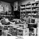 호남종묘농약사 이미지